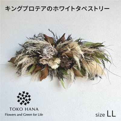 キングプロテアのホワイトタペストリー(LLサイズ)糸島市/tokohana [AOC043]
