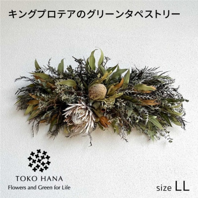 キングプロテアのグリーンタペストリー(LLサイズ)糸島市/tokohana [AOC044]