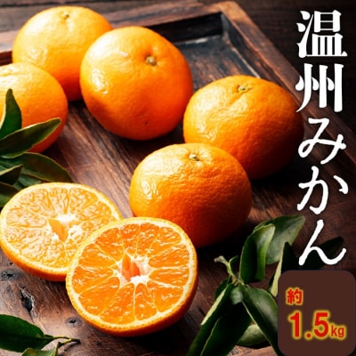 温州みかん(1.5kg程度)/2026年11月～2027年1月配送.ZG270
