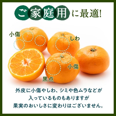 温州みかん(1.5kg程度)/2026年11月～2027年1月配送.ZG270