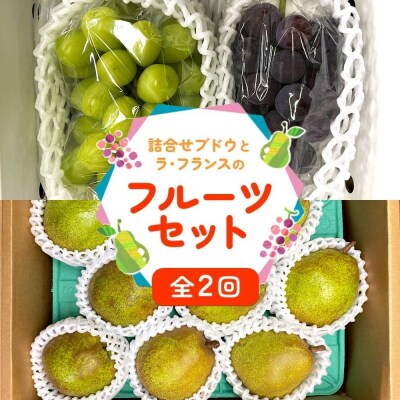 フルーツセット(ぶどう詰め合わせ、ラ・フランス)【定期便:全2回】　0065-2601