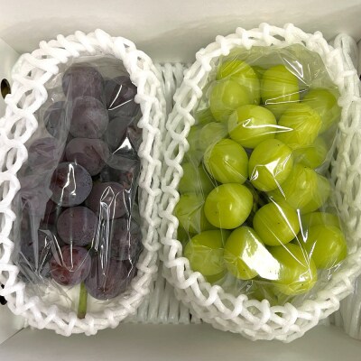 フルーツセット(ぶどう詰め合わせ、ラ・フランス)【定期便:全2回】　0065-2601