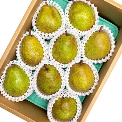 フルーツセット(ぶどう詰め合わせ、ラ・フランス)【定期便:全2回】　0065-2601