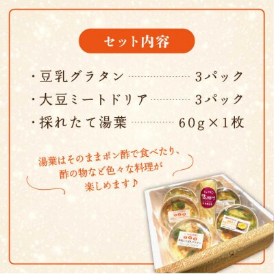 湯葉を贅沢使用 湯葉三昧セット(豆乳グラタン+大豆ミートドリア+湯葉60g)酒瀬川[AZJ002]
