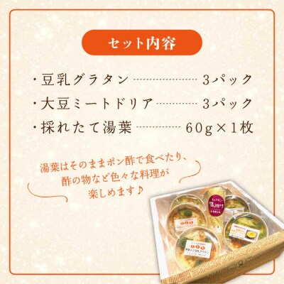 【全3回定期便】湯葉三昧セット(豆乳グラタン+大豆ミートドリア+湯葉60g)酒瀬川 [AZJ006]