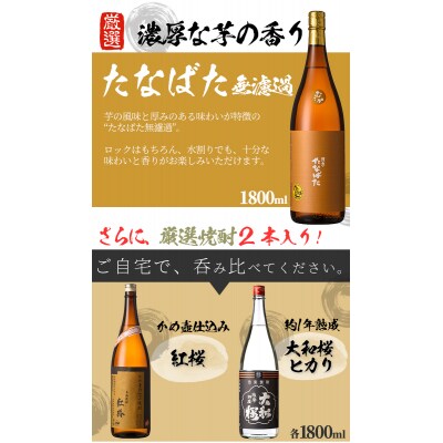 芋焼酎「たなばた無濾過」「ヤマトザクラヒカリ」「紅椿」1800ml 各1本 3本セット