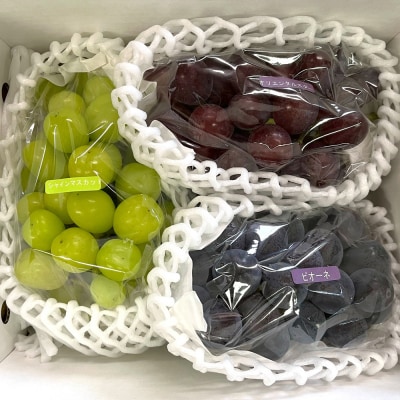 フルーツセット(ぶどう詰め合わせ、ラ・フランス、りんご)【定期便:全3回】　0065-2602