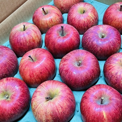 フルーツセット(ぶどう詰め合わせ、ラ・フランス、りんご)【定期便:全3回】　0065-2602