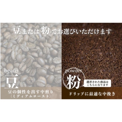 【サンスイ珈琲】香り深いコーヒー豆【粉】200g×3種類 おすすめセット