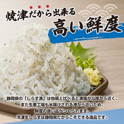 静岡県産お刺身用生しらす:100g×6パック　合計600g(a10-1266)