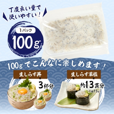 静岡県産お刺身用生しらす:100g×6パック　合計600g(a10-1266)
