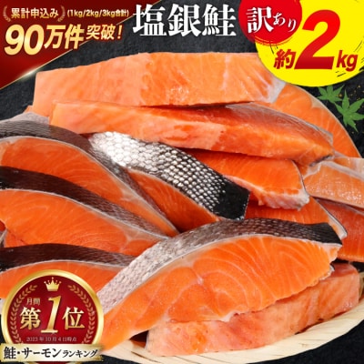 訳あり 鮭 切身 約2kg [宮城東洋 宮城県 気仙沼市 20564991] サーモン