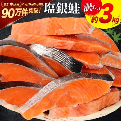 訳あり 鮭 切身 約3kg [宮城東洋 宮城県 気仙沼市 20564992] サーモン