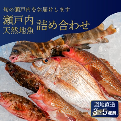 瀬戸内産 鮮魚 地魚詰め合わせ 瀬戸内天然鯛入り!(3～5種類・下処理済)[154-003]
