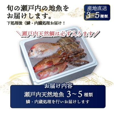 瀬戸内産 鮮魚 地魚詰め合わせ 瀬戸内天然鯛入り!(3～5種類・下処理済)[154-003]