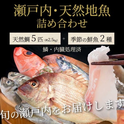 瀬戸内産 天然鯛 約2.5kg(500g×5匹/鱗・内臓処理)・鮮魚2種 [154-007]