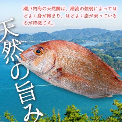 瀬戸内産 天然鯛 約2.5kg(500g×5匹/鱗・内臓処理)・鮮魚2種 [154-007]