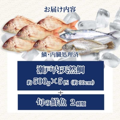 瀬戸内産 天然鯛 約2.5kg(500g×5匹/鱗・内臓処理)・鮮魚2種 [154-007]