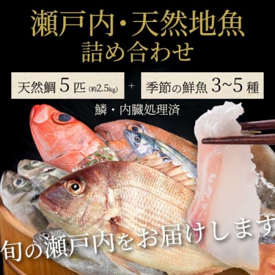 瀬戸内産 天然鯛 約2.5kg(500g×5匹/鱗・内臓処理)・鮮魚3～5種 [154-008]