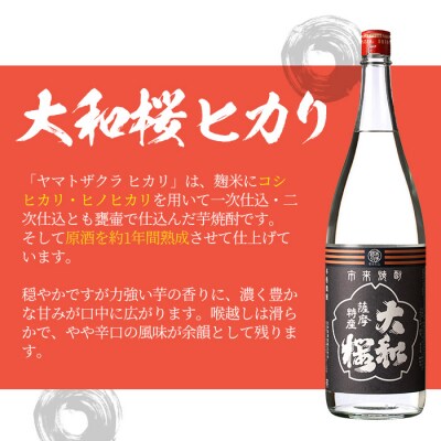 芋焼酎 「大和桜」 900ml 「ヤマトザクラヒカリ」 720ml 各1本 芋焼酎飲み比べセット