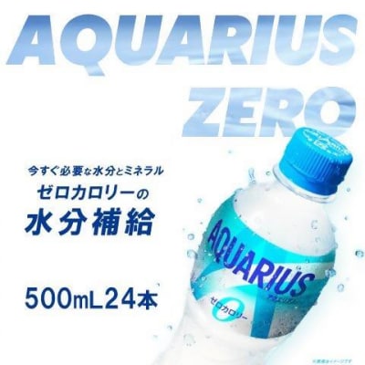 【2か月連続お届け】アクエリアスゼロ　500ml PET×24本　【04301-0660】