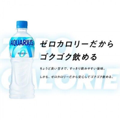 【3か月連続お届け】アクエリアスゼロ　500ml PET×24本　【04301-0661】
