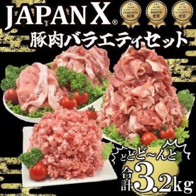 ＜蔵王町産＞JAPAN X　豚肉バラエティセット 3.2kg   　【04301-0366】