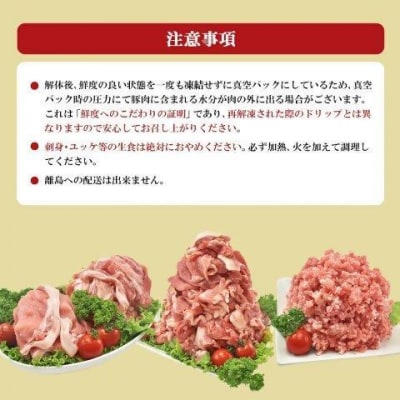 ＜蔵王町産＞JAPAN X　豚肉バラエティセット 3.2kg   　【04301-0366】