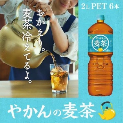 【2か月連続お届け】やかんの麦茶from爽健美茶　2L PET×6本　【04301-0612】