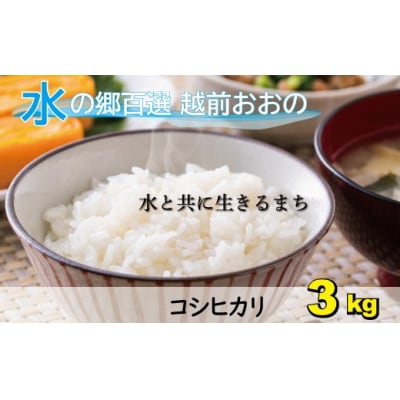 【令和7年産】こしひかり(福井県大野市産)エコファーマー(白米)米3kg 