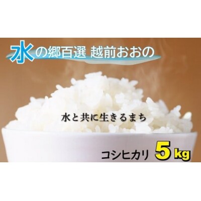 【令和7年産】こしひかり(福井県大野市産)エコファーマー米(白米)5kg
