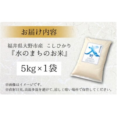 【令和7年産】こしひかり(福井県大野市産)エコファーマー米(白米)5kg