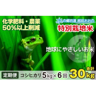 【令和7年産】【6ヶ月定期便】こしひかり 5kg × 6回 計30kg【白米】「特別栽培米」