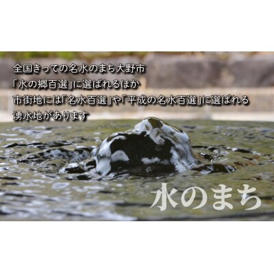 【令和7年産】こしひかり(福井県大野市産)エコファーマー米(白米)10kg(5kg×2袋)
