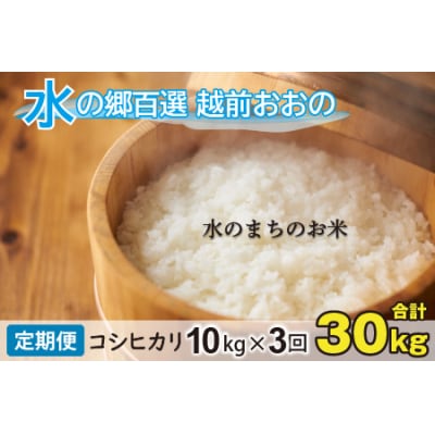 【令和7年産】【3ヶ月定期便】こしひかり 10kg×3回 計30kg【白米】「エコファーマー米」