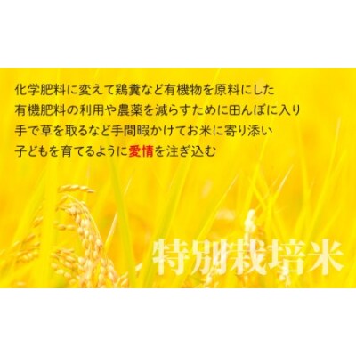 【令和7年産】【6ヶ月定期便】こしひかり 10kg × 6回 計60kg【白米】「特別栽培米」