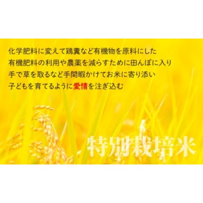 【令和7年産】【3ヶ月定期便】こしひかり 10kg × 3回 計30kg【白米】「特別栽培米」