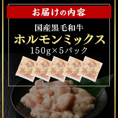 国産黒毛和牛ホルモンミックス塩だれ(150g×5P)