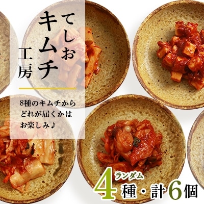 てしおキムチ工房・キムチおまかせ6種セット <天塩の國>