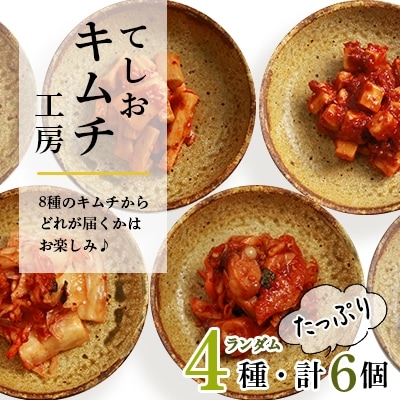 てしおキムチ工房・キムチおまかせ6種セット★ <天塩の國>