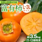 ケーズファーム　富有柿　11～13個入　約3.5kg