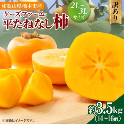 柿【2026年度発送分】ケーズファーム (訳あり) 平たねなし柿 約3.5kg