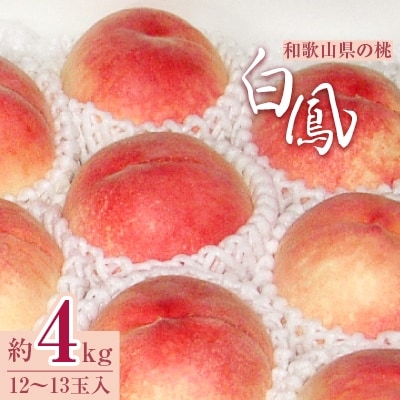 和歌山県の桃(白鳳)　12～13玉入　約4kg