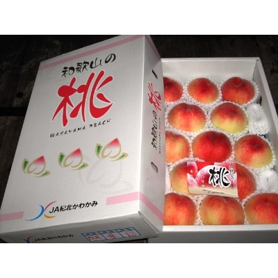 和歌山県の桃(白鳳)　12～13玉入　約4kg