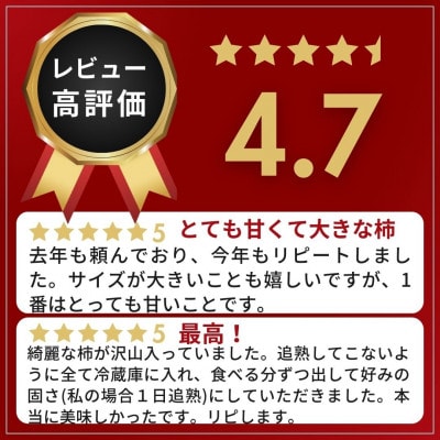【令和8年度】柿カテゴリ上位獲得!　JAわかやま(紀北地域)のたねなし柿　7.5kg　L又は2L