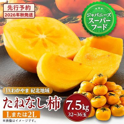 【令和8年度】柿カテゴリ上位獲得!　JAわかやま(紀北地域)のたねなし柿　7.5kg　L又は2L