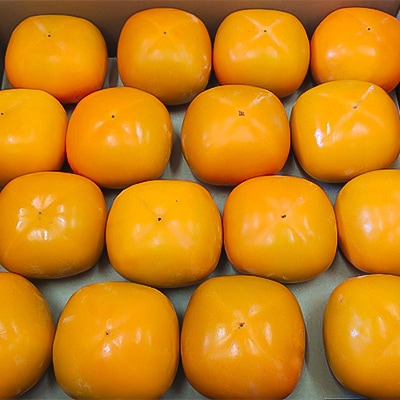 【令和8年度】柿カテゴリ上位獲得!　JAわかやま(紀北地域)のたねなし柿　7.5kg　L又は2L