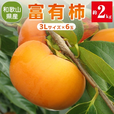 11月から旬の果物　JA紀北かわかみの富有柿(約2kg)　3Lサイズ　6玉入