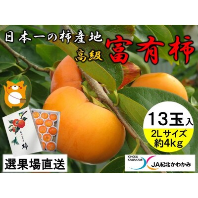 JA紀北かわかみ　富有柿(約4kg)　2Lサイズ　13玉入