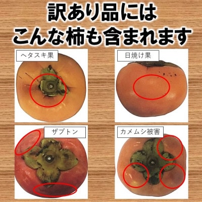 JA紀北かわかみ　富有柿(約7.5kg)　L-2Lサイズ　28-32玉入【訳あり】